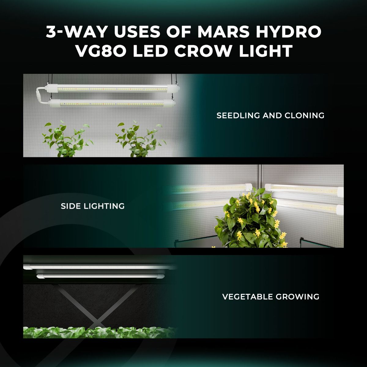 Pre-order Mars Hydro VG80 LED T5 Grow Lights Seedling Veg and Cloning Hydroponic Garden - Performance View