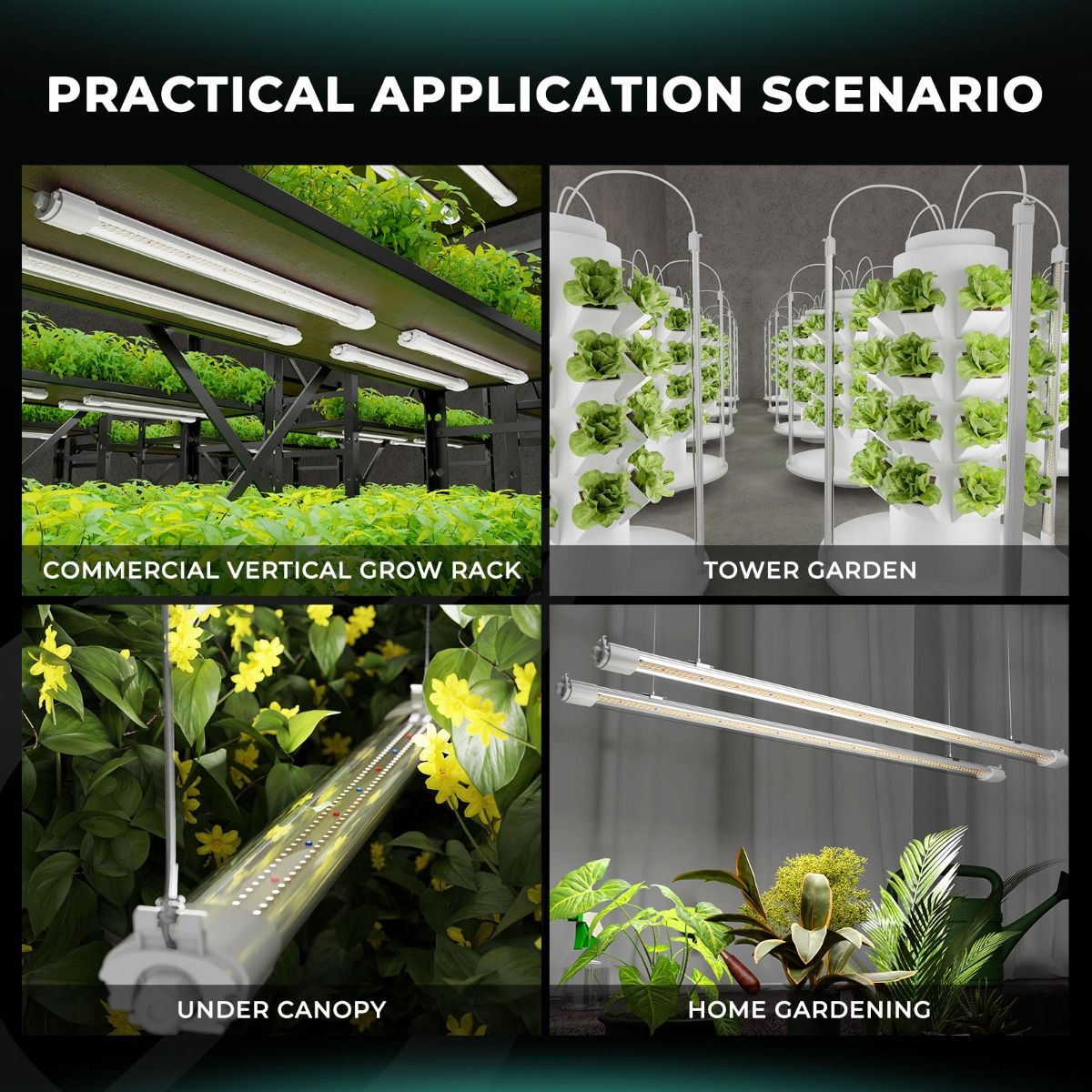 Pre-order Mars Hydro VG80 LED T5 Grow Lights Seedling Veg and Cloning Hydroponic Garden - Packaging View