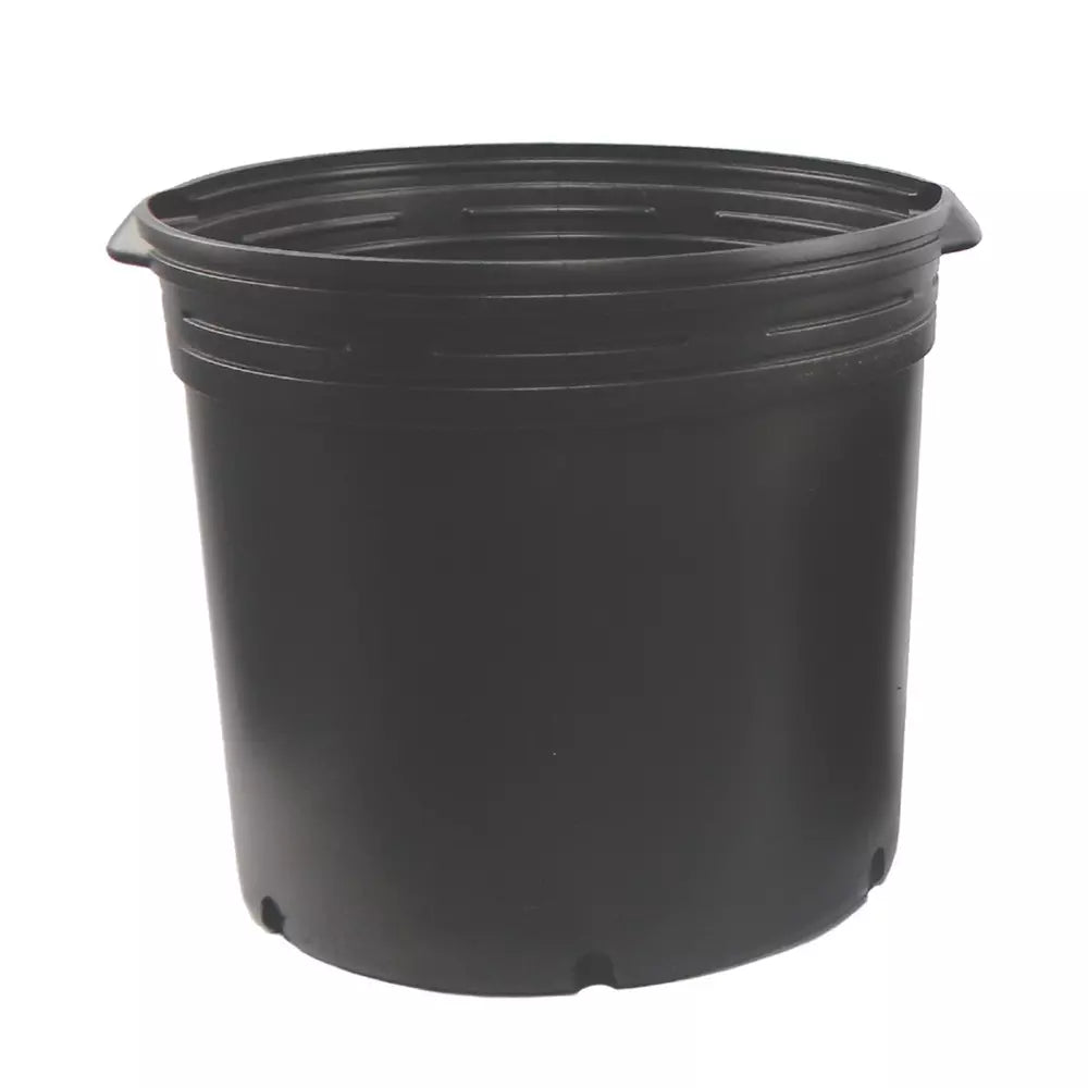 10 Gallon Plastic Nursery Pots