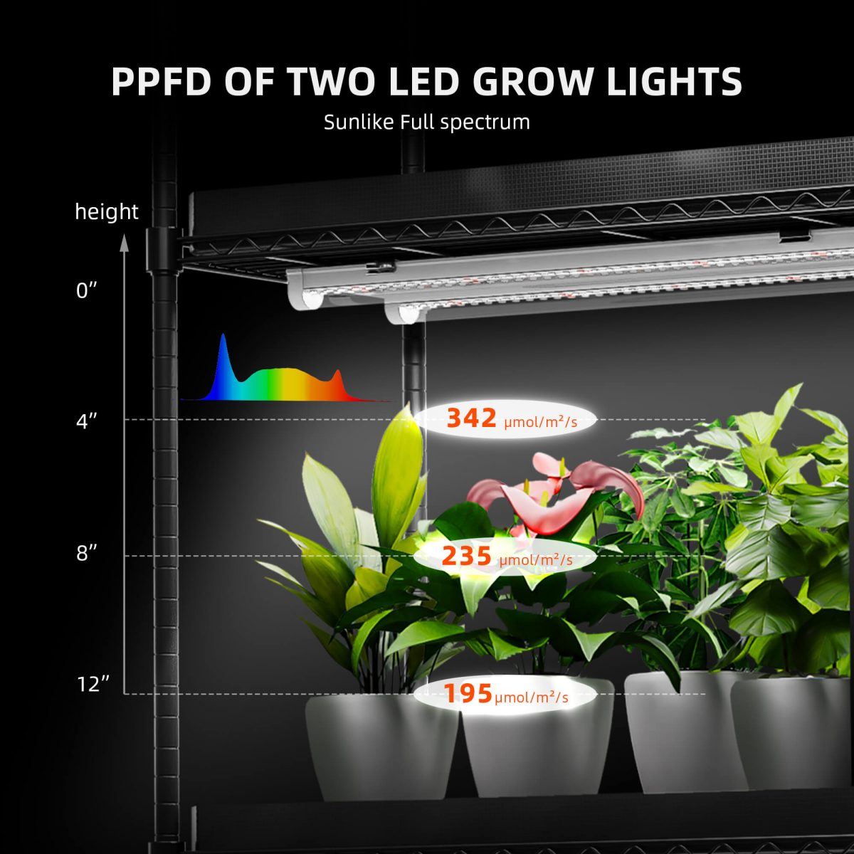 Spider Farmer 6 Tier Plant Stand With Grow Lights 220W , Plant Shelf with 1680D Grow Tent for Seedling Indoor Plant, Cloning and Greenhouse