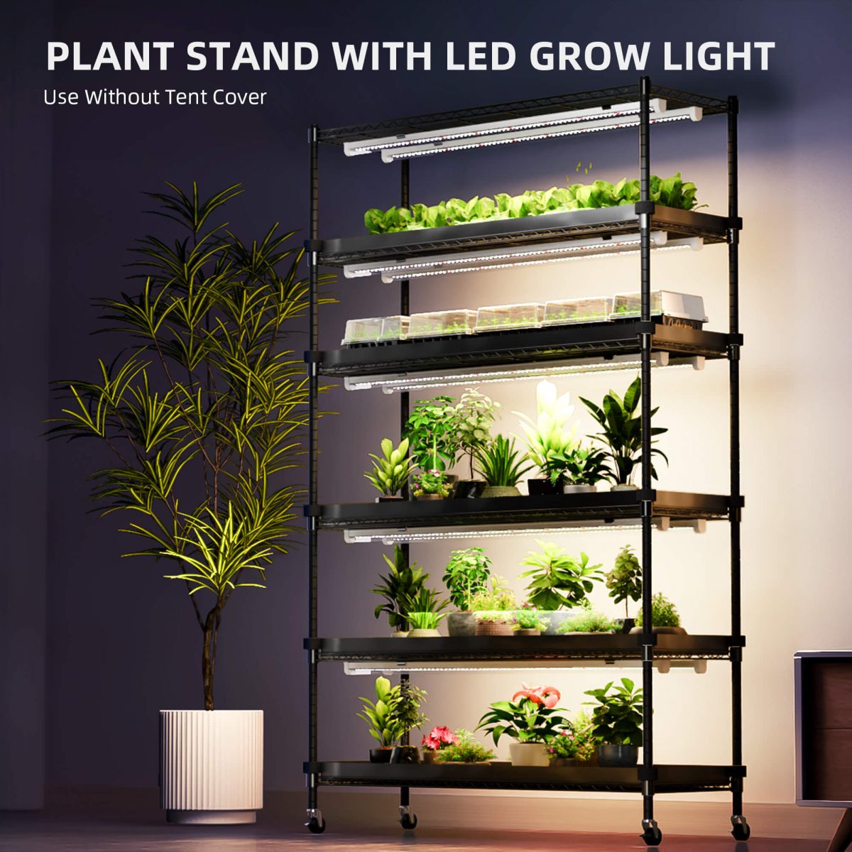 Spider Farmer 6 Tier Plant Stand With Grow Lights 220W , Plant Shelf with 1680D Grow Tent for Seedling Indoor Plant, Cloning and Greenhouse