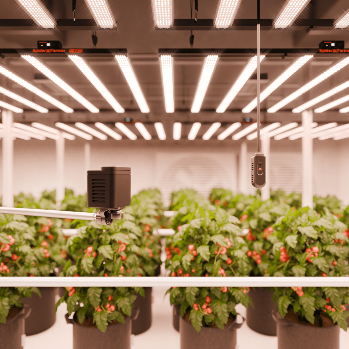 Spider Farmer Genius Grow System SensorPro Kits with CO2 Sensor and PAR Meter, Ideal for Optimizing Grow Tents, Grow Rooms