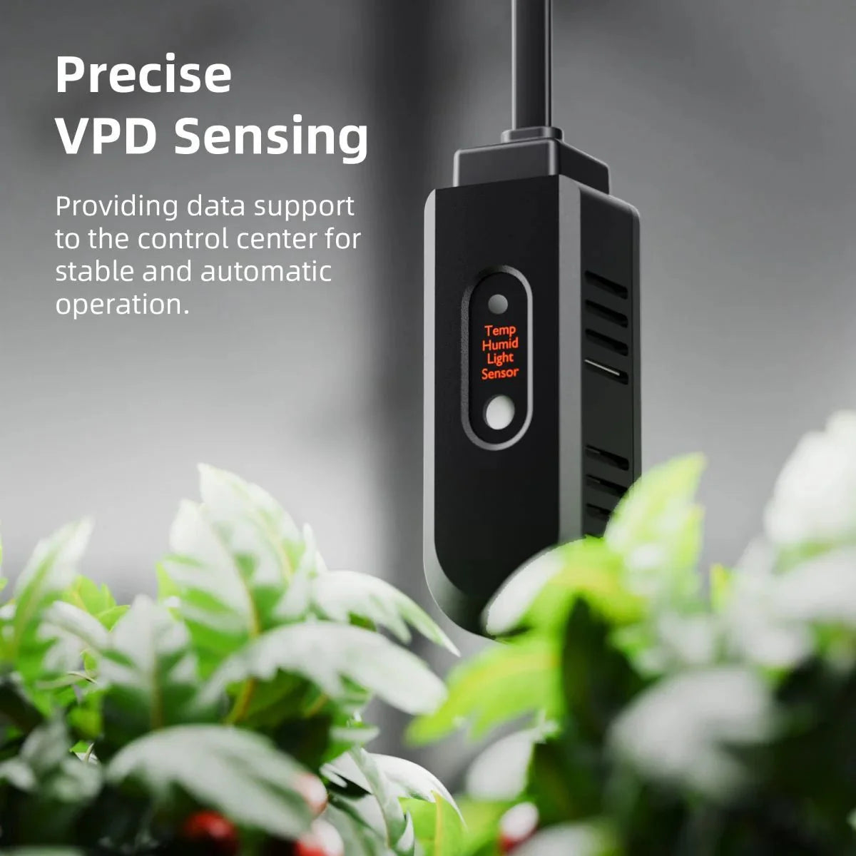 Spider Farmer GGS AC10 Power Strip with 10 Outlets for Grow Tent Climate Control, Featuring Temperature, Humidity, VPD Monitoring, Scheduling, Historical Data Tracking, Bluetooth & WiFi Connectivity