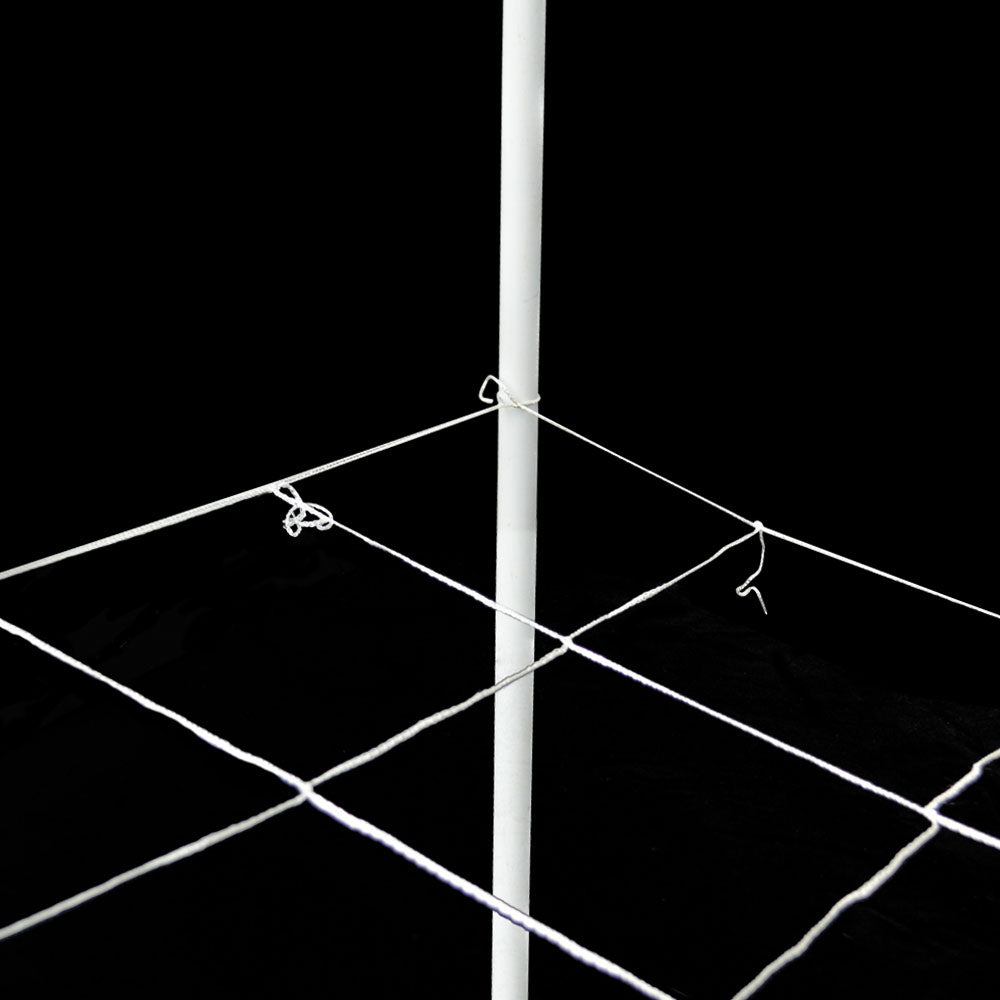 Supply Trellis Netting   6 Inch Mesh