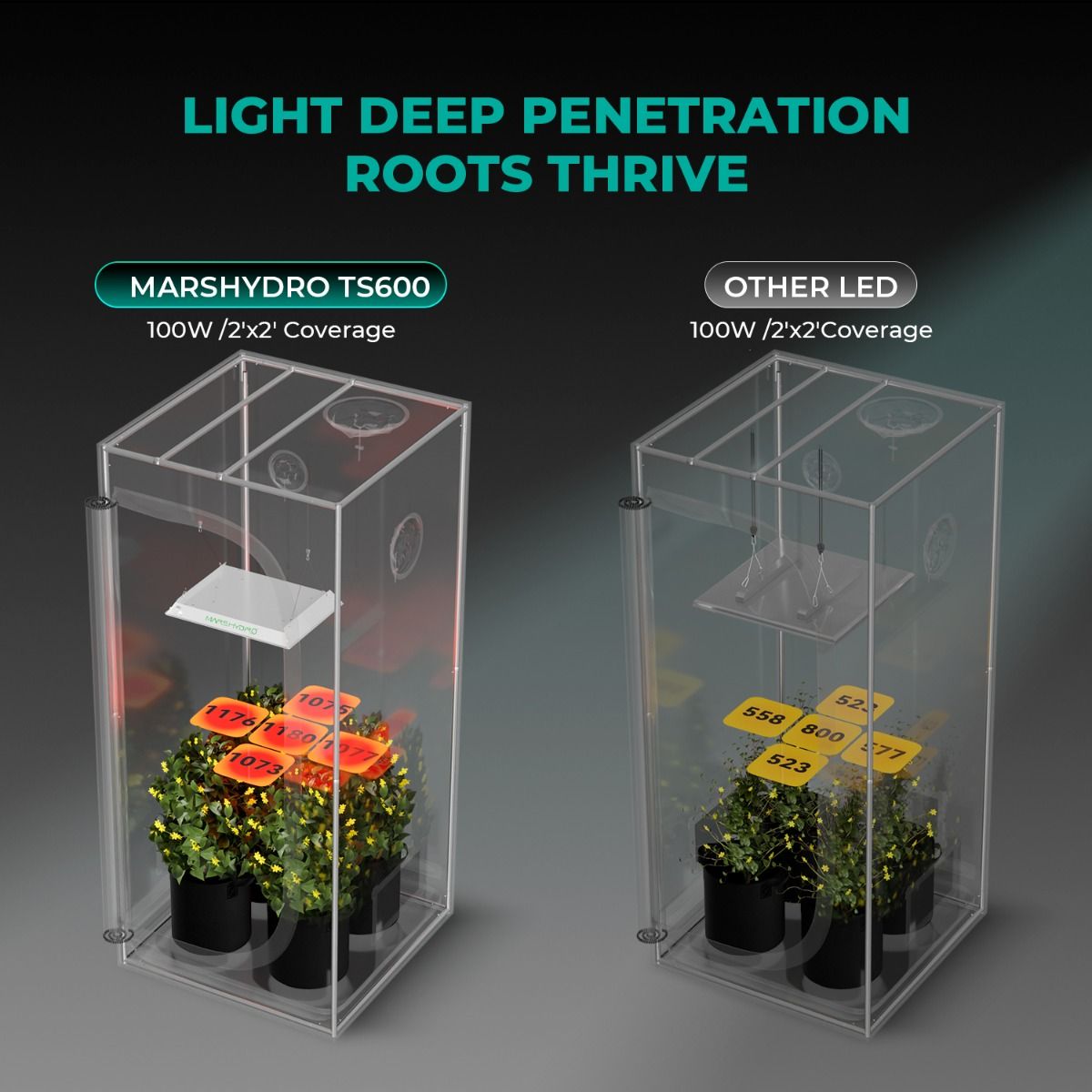 Mars Hydro TS 600 LED Grow Light + 2'X2'X4.5' (24"x24"x55") Complete Indoor Grow Tent Kits for Beginner - Performance View